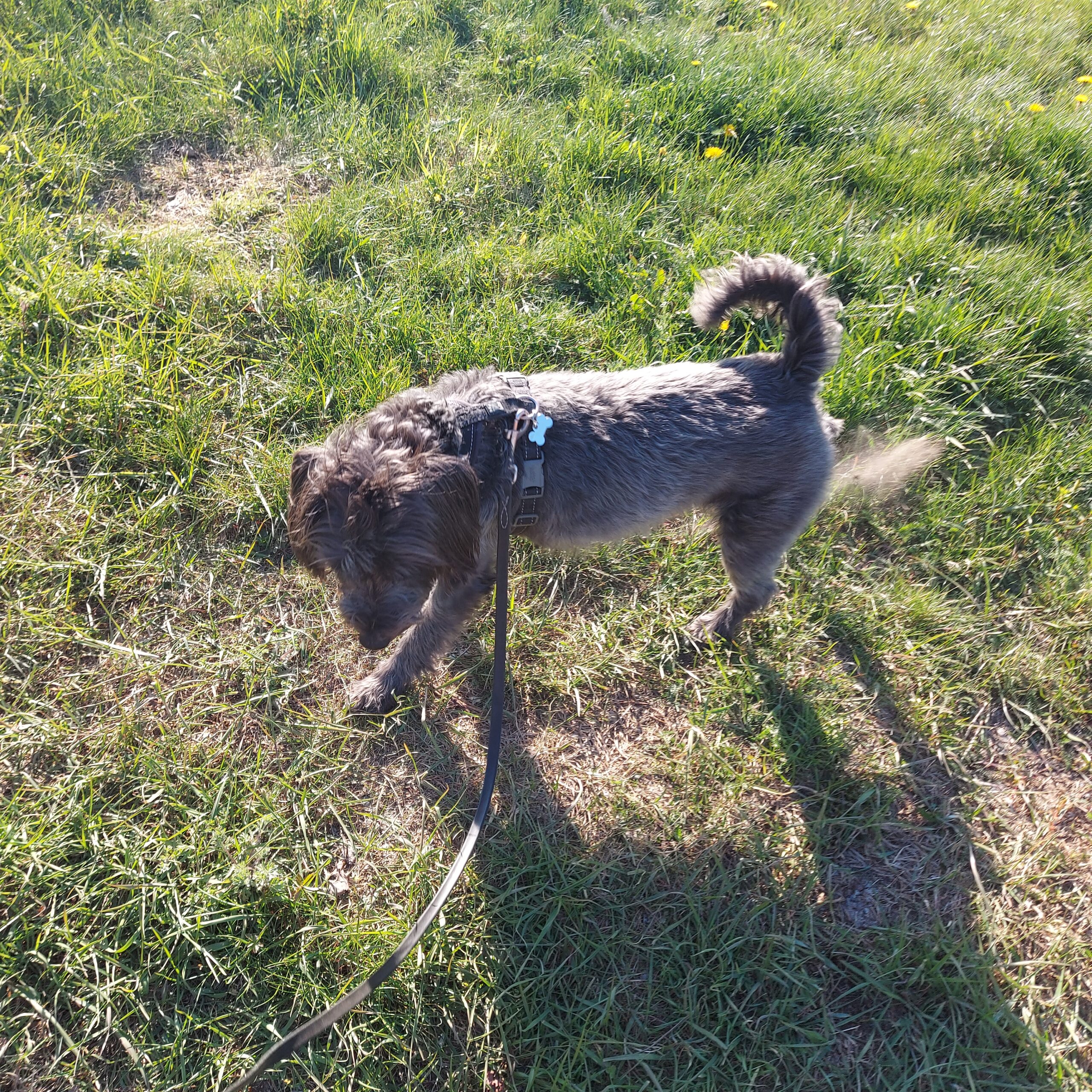 Sparkar så det sprakar