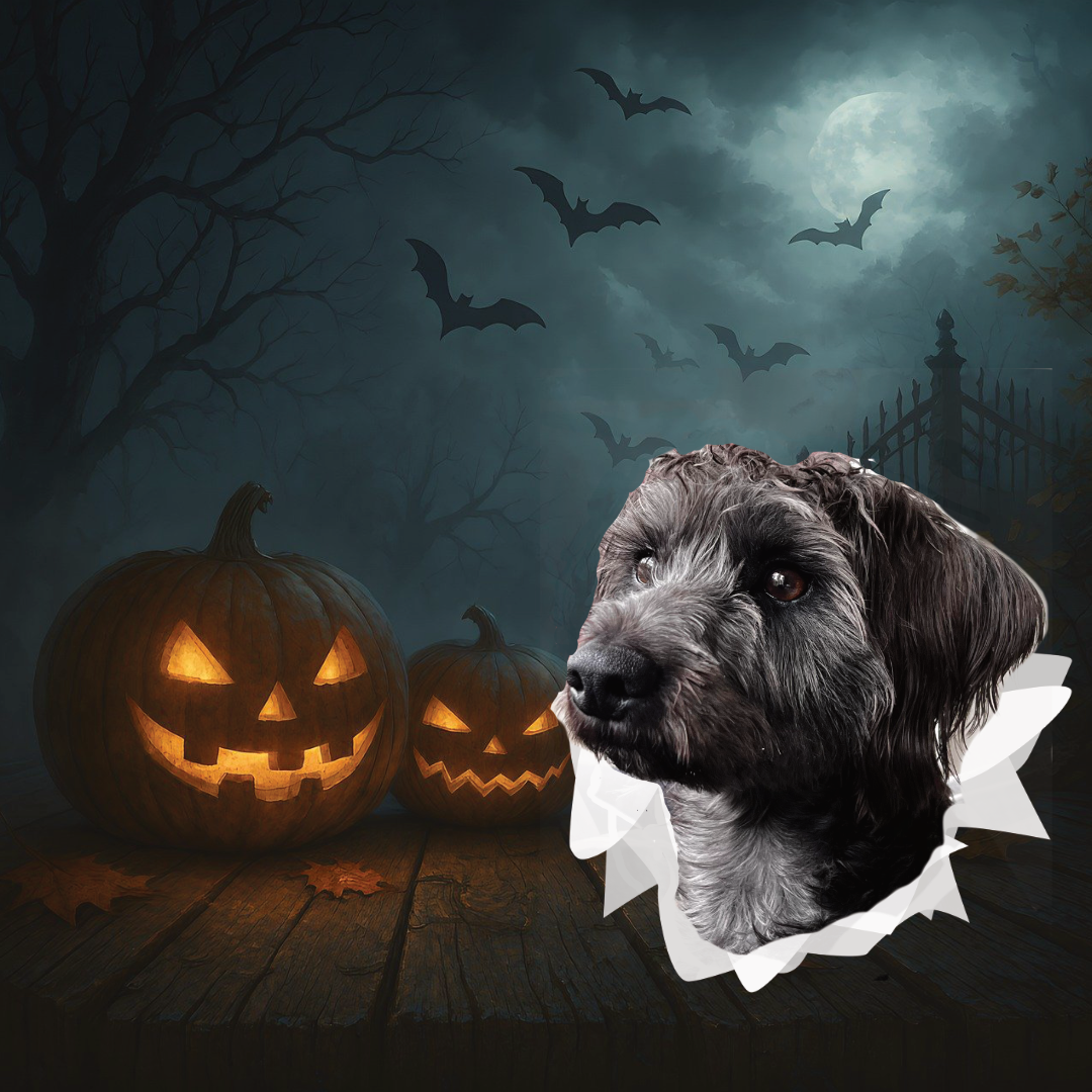 En hemskt onödig helg