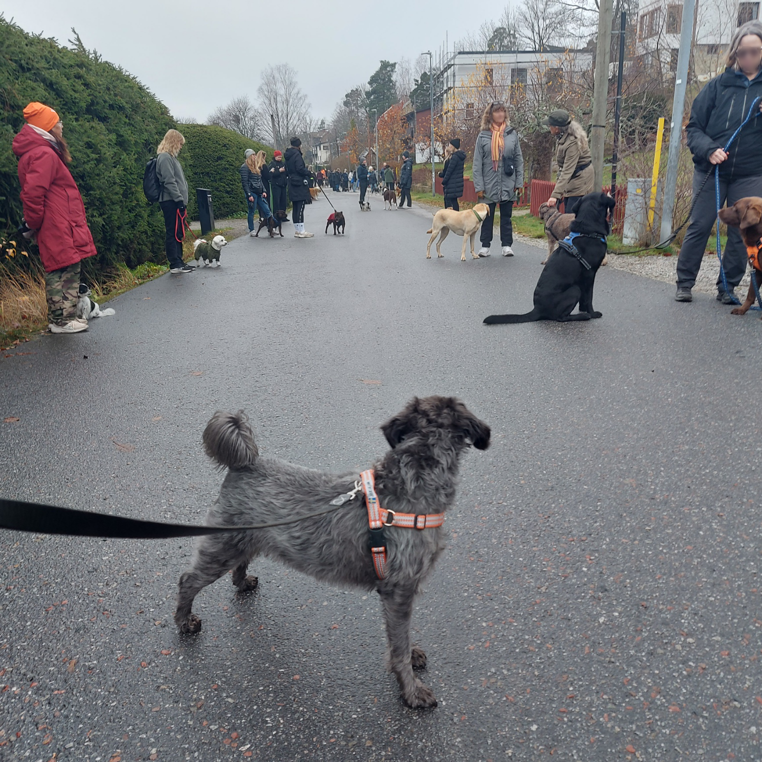 En välgörande promenad