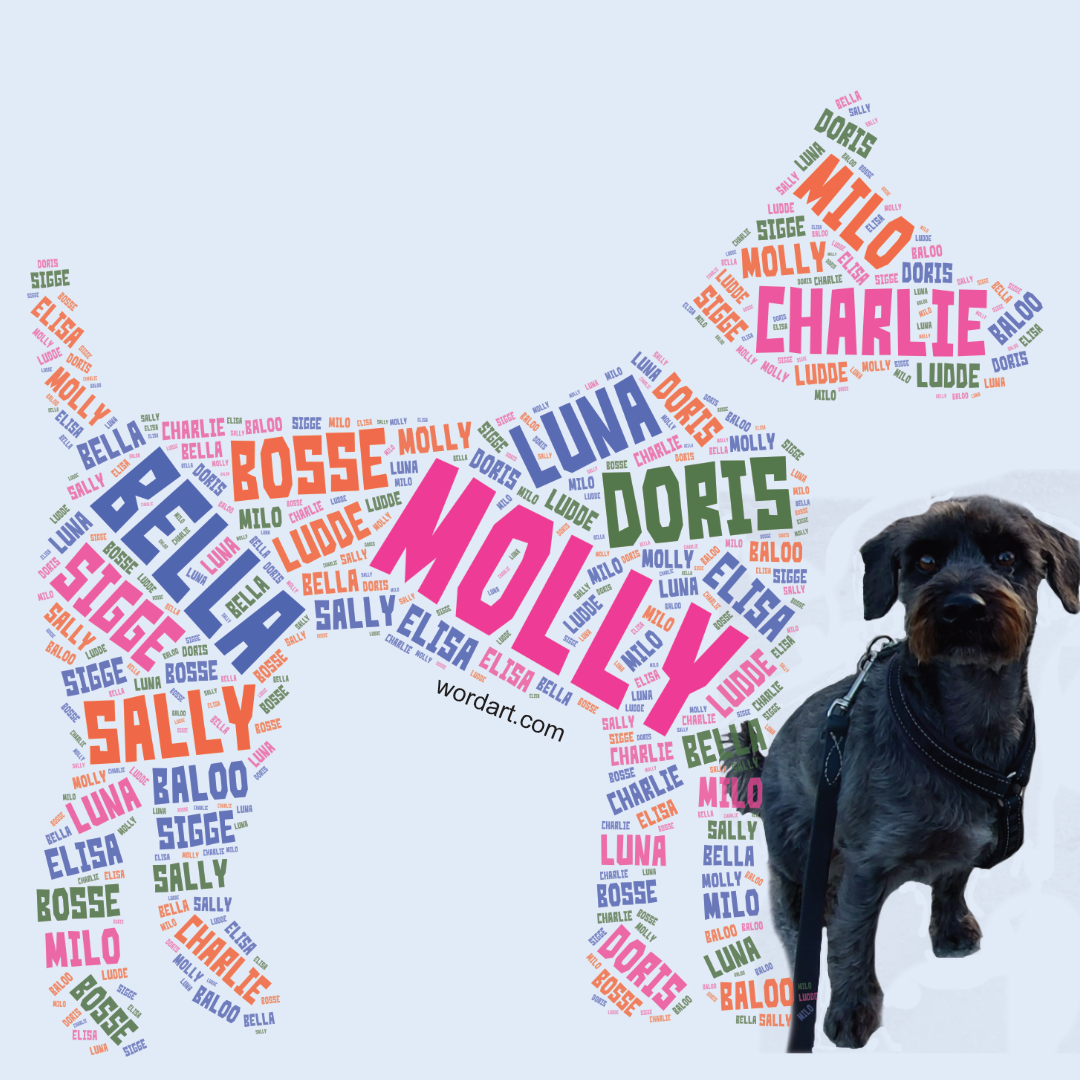 Namn på hundar och barn