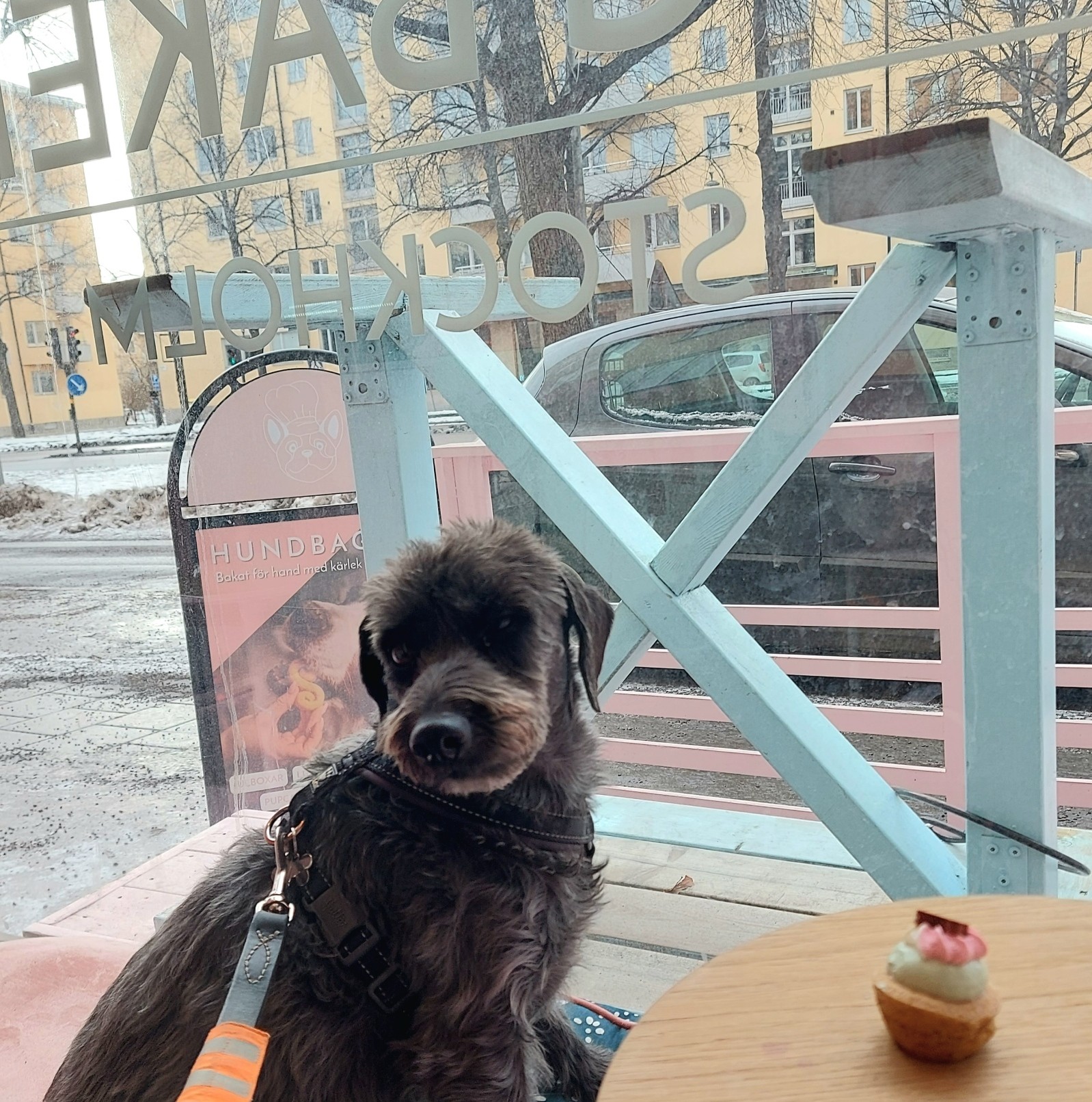 En stor dag att fira