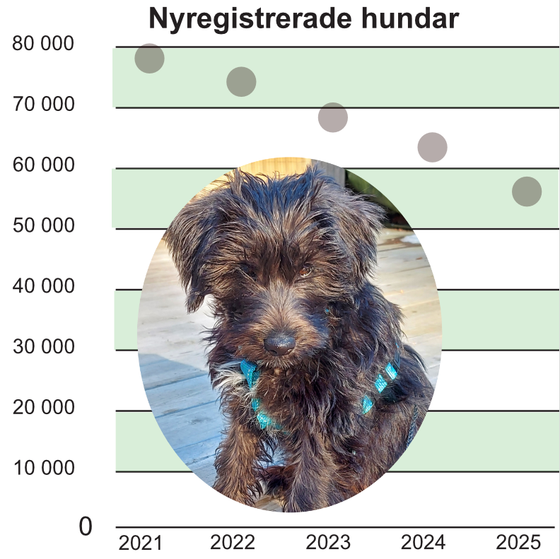 Färre valpar förra året