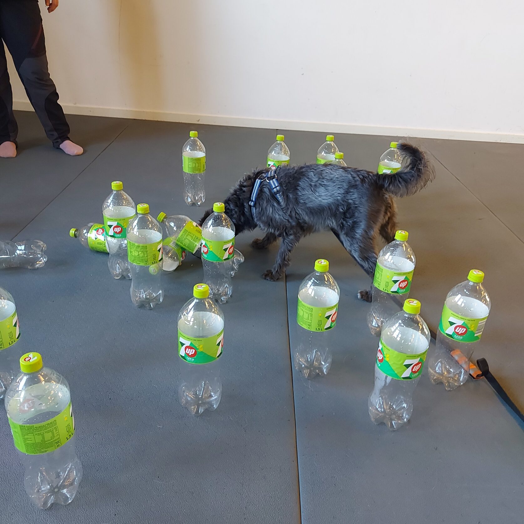 Läskigt bland läskflaskorna