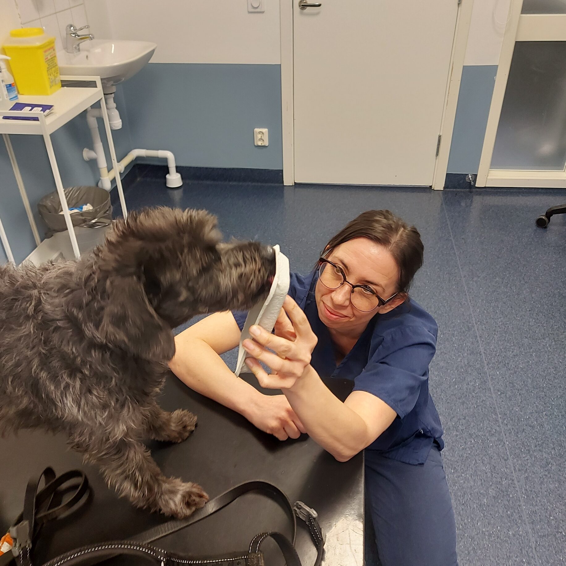 Det finns snälla veterinärer