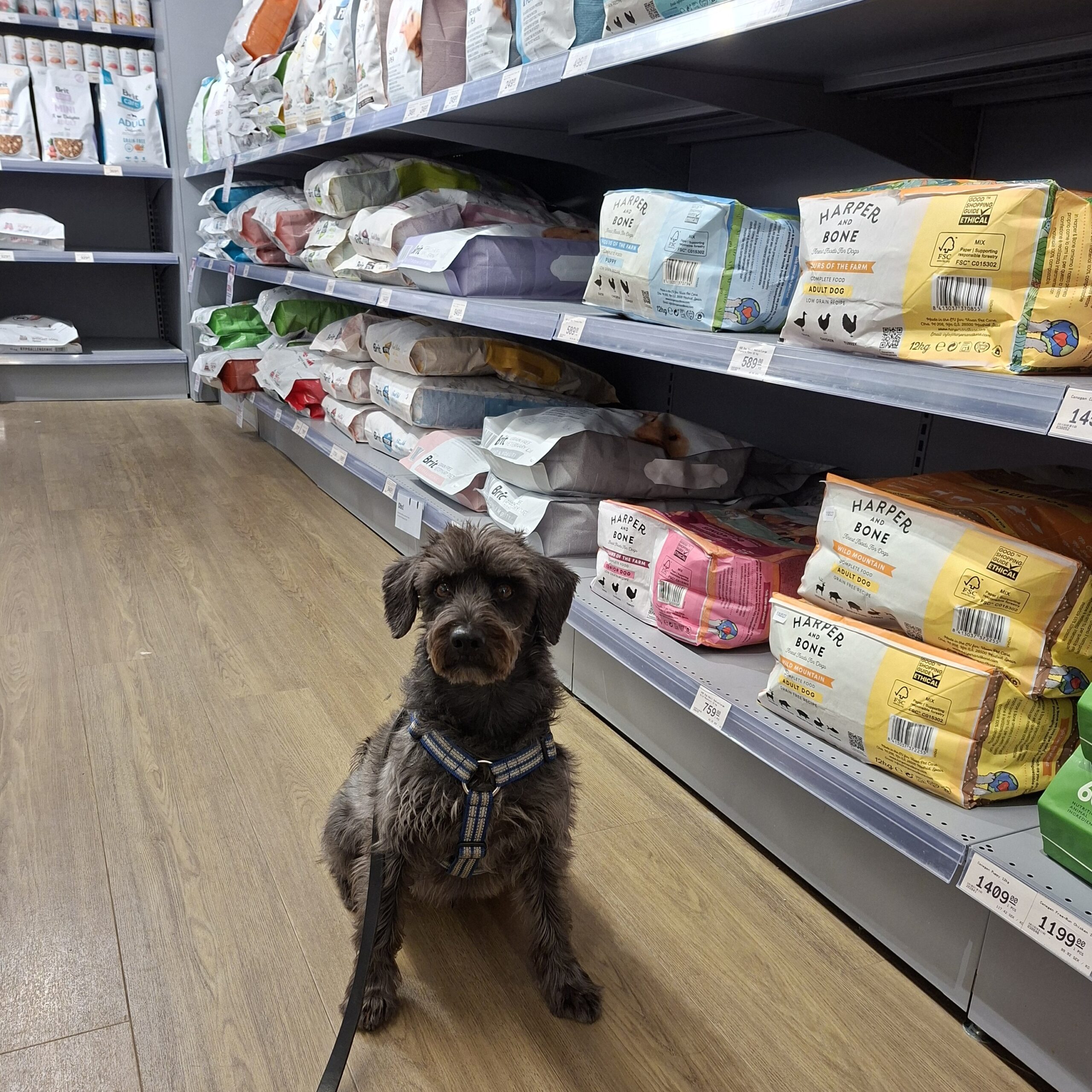 Orättvis beskattning