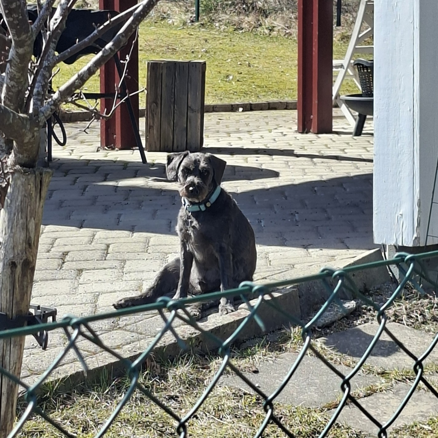 Väktare inom lagens ramar